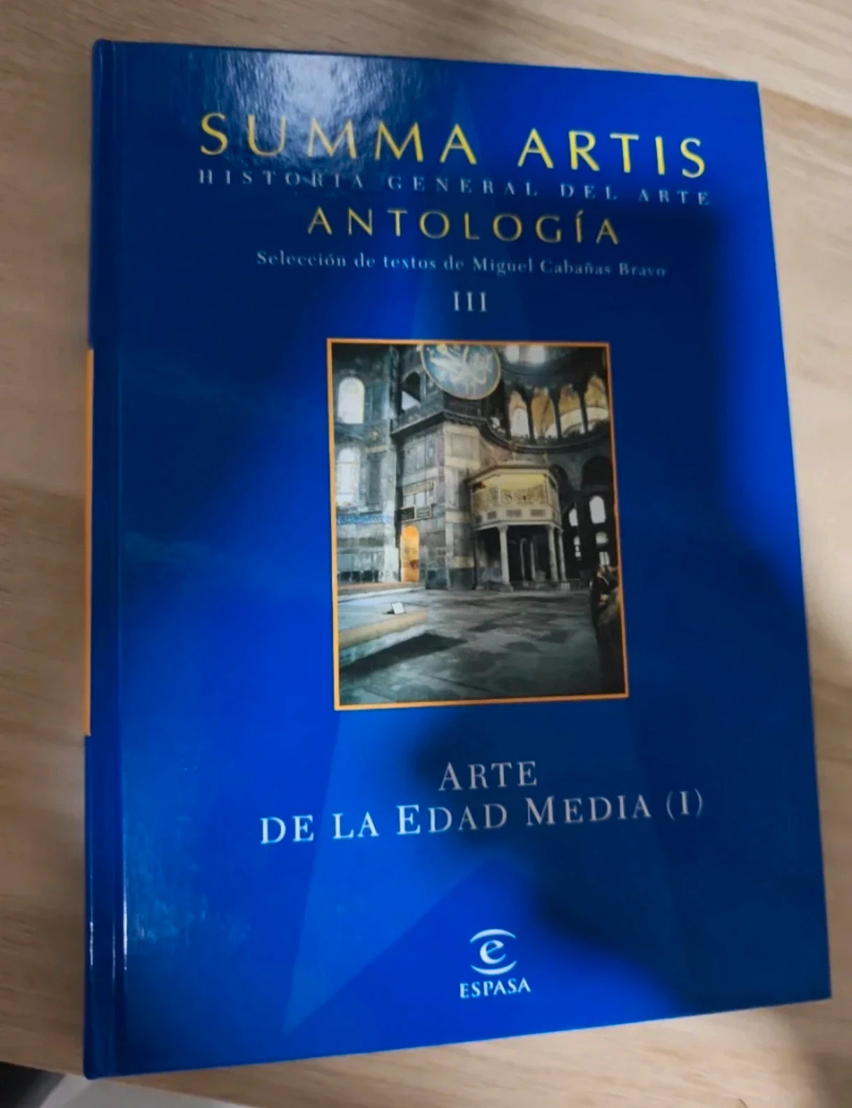 Collection Collectionnisme Summa Artis : Anthologie (Espasa) - Histoire générale de l'art 2