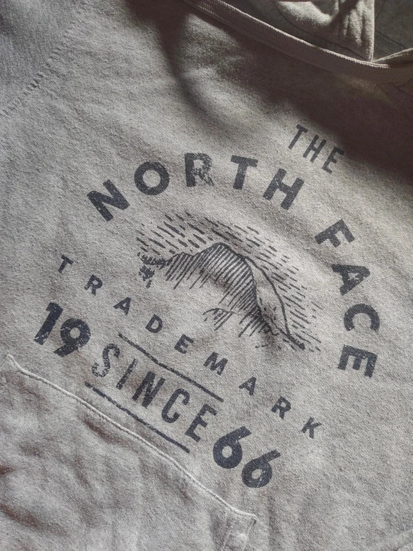 Sweat The North Face – The North Face – taille S 3