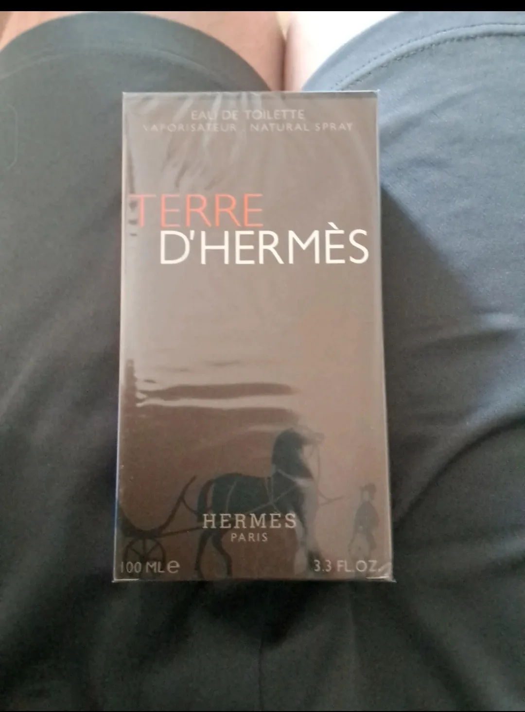 Terre d'Hermès Eau de Toilette 100 ml