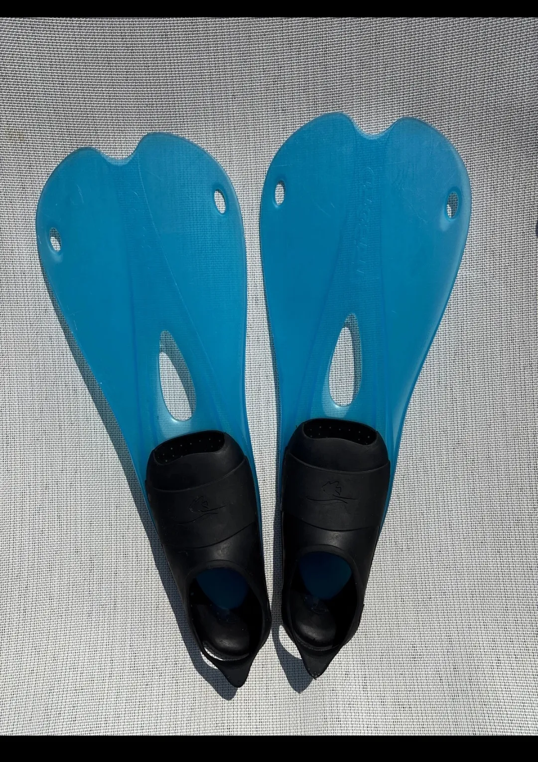 Palmes de plongée bleu et noir