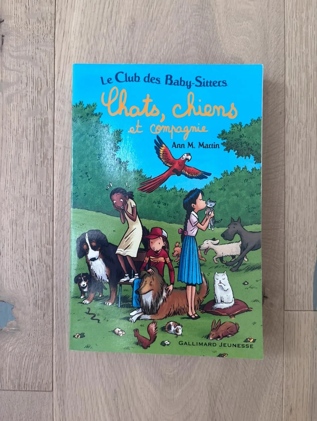 Lot de 11 livres Le Club des Baby-Sitters 2