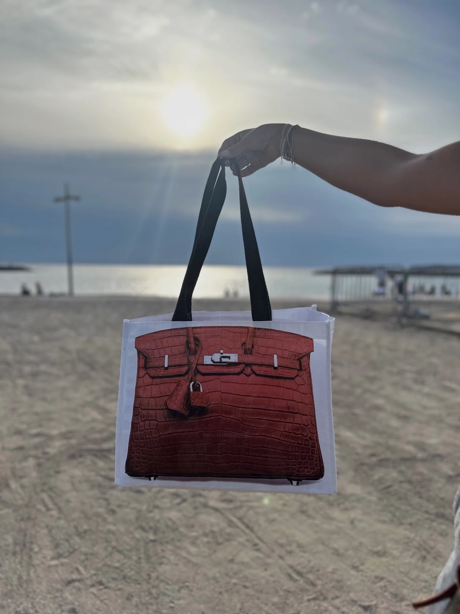 Cabas Birkin 