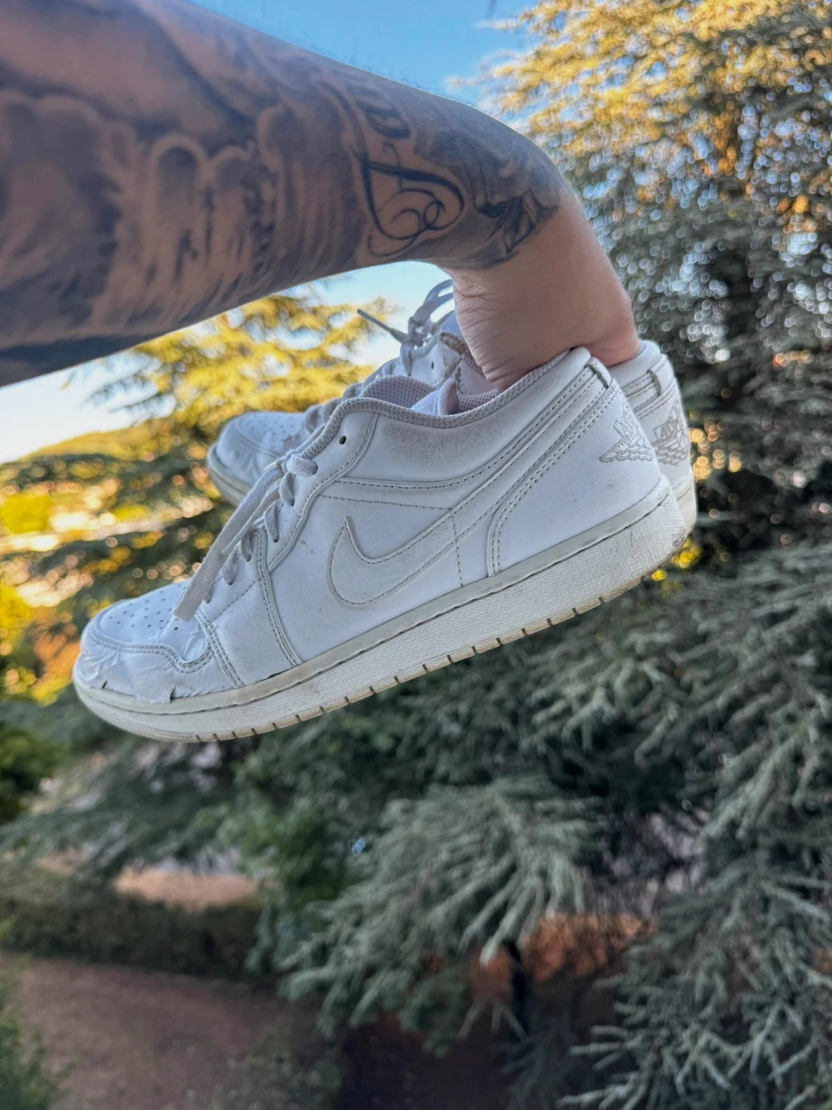 Air Jordan low 1