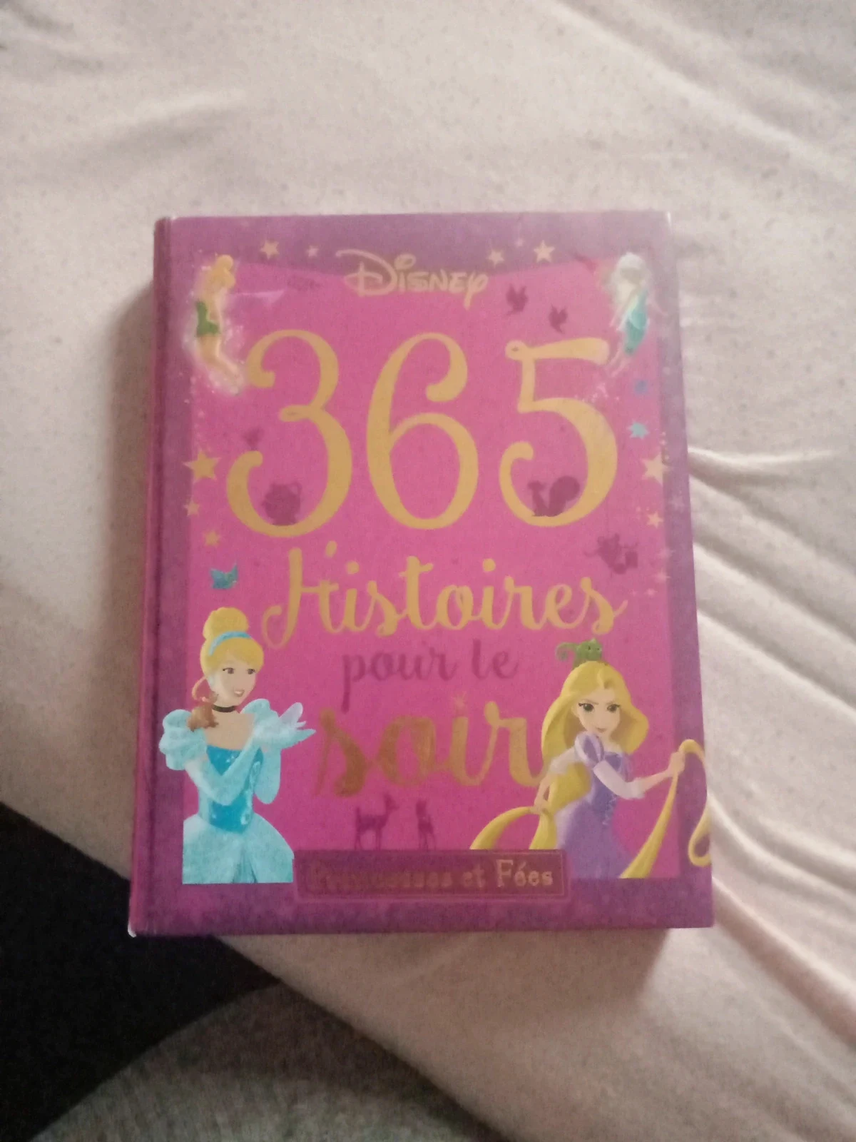 365 histoire pour le soir de princesse Disney