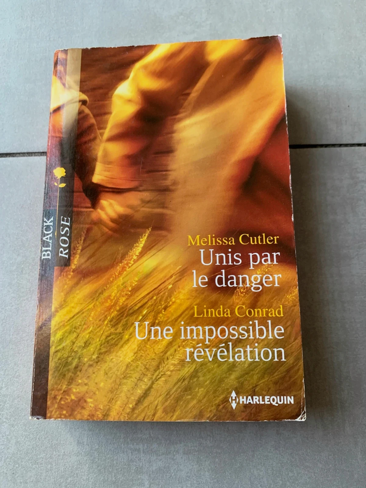 Livre Unis par le danger / Une impossible révélation – Harlequin Black Rose