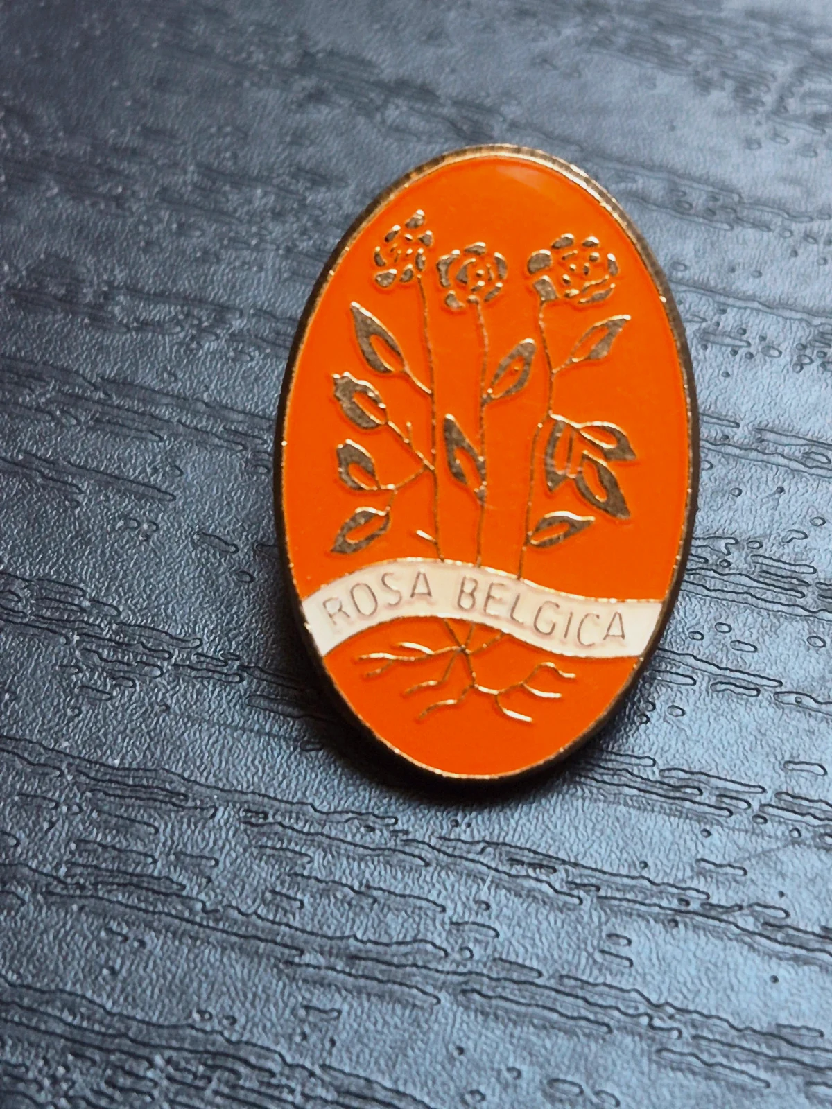 Insigne vintage "Rosa Belgica" - Les Amis de la Rose (Belgique)
