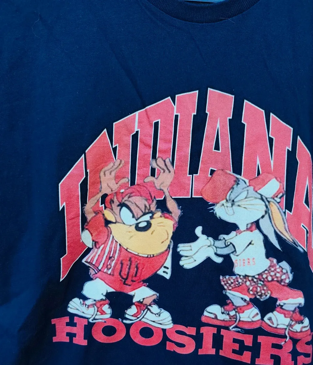T-shirt Gildan Indiana Hoosiers Taz et Bugs Bunny bleu marine – Gildan – bleu marine – taille M 2