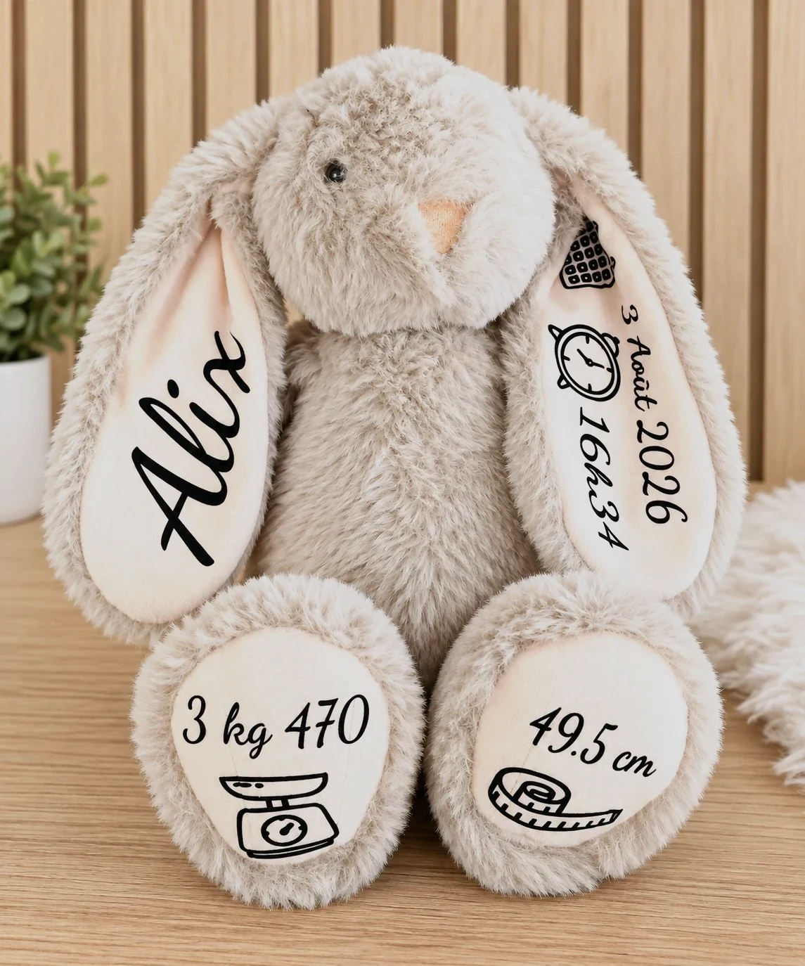 Lapin naissance
