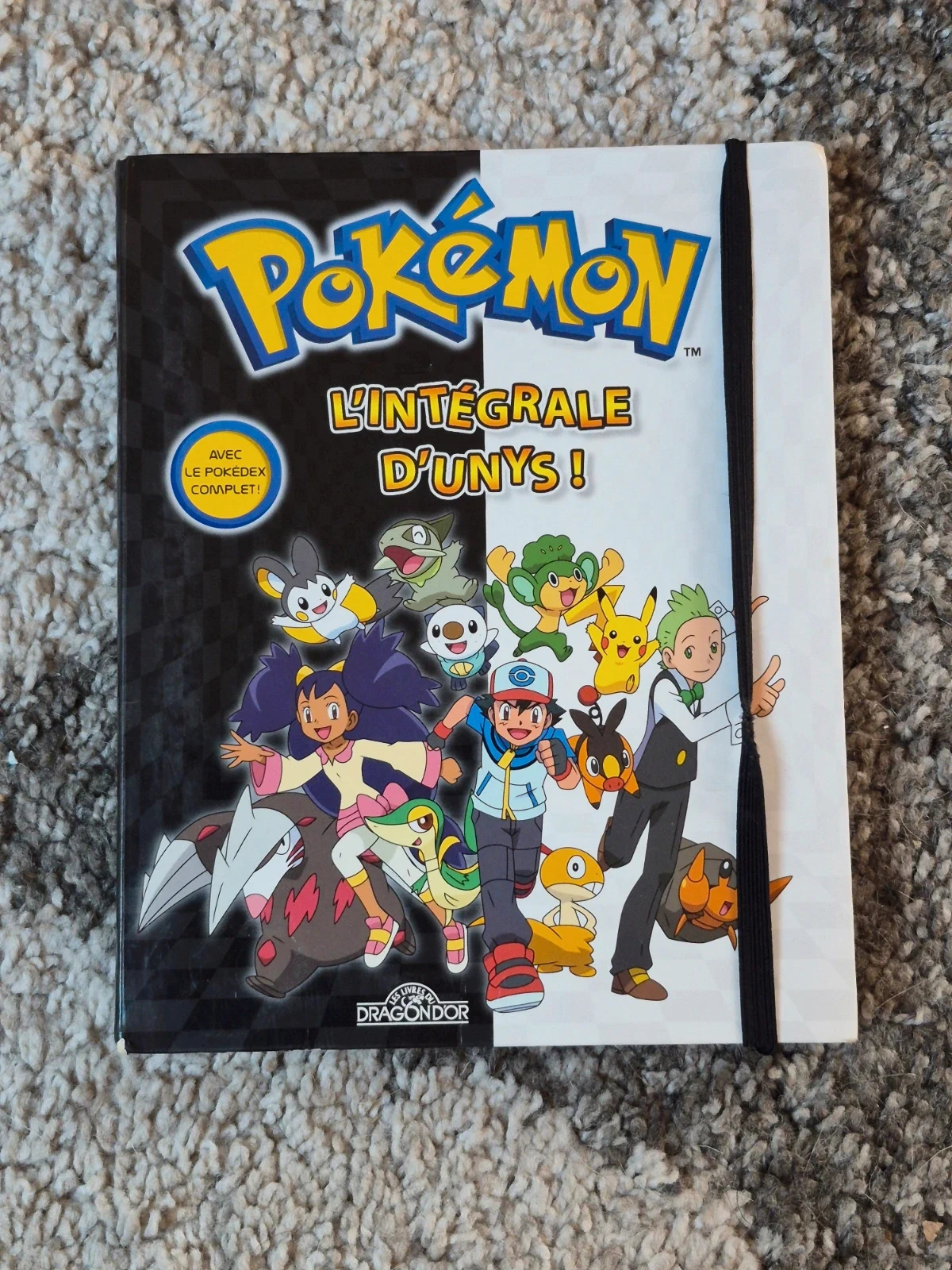 Livre Pokémon L’intégrale d’Unys État Nickel (Sans écritures)