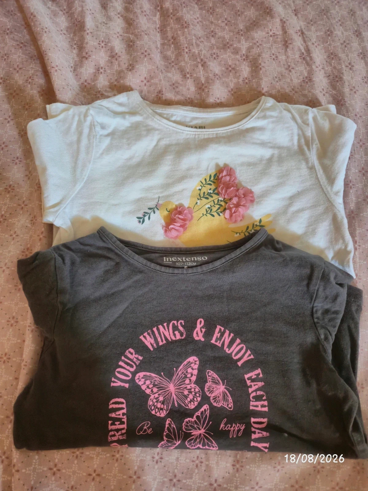 Lot 5 ans deux tshirt manche longue