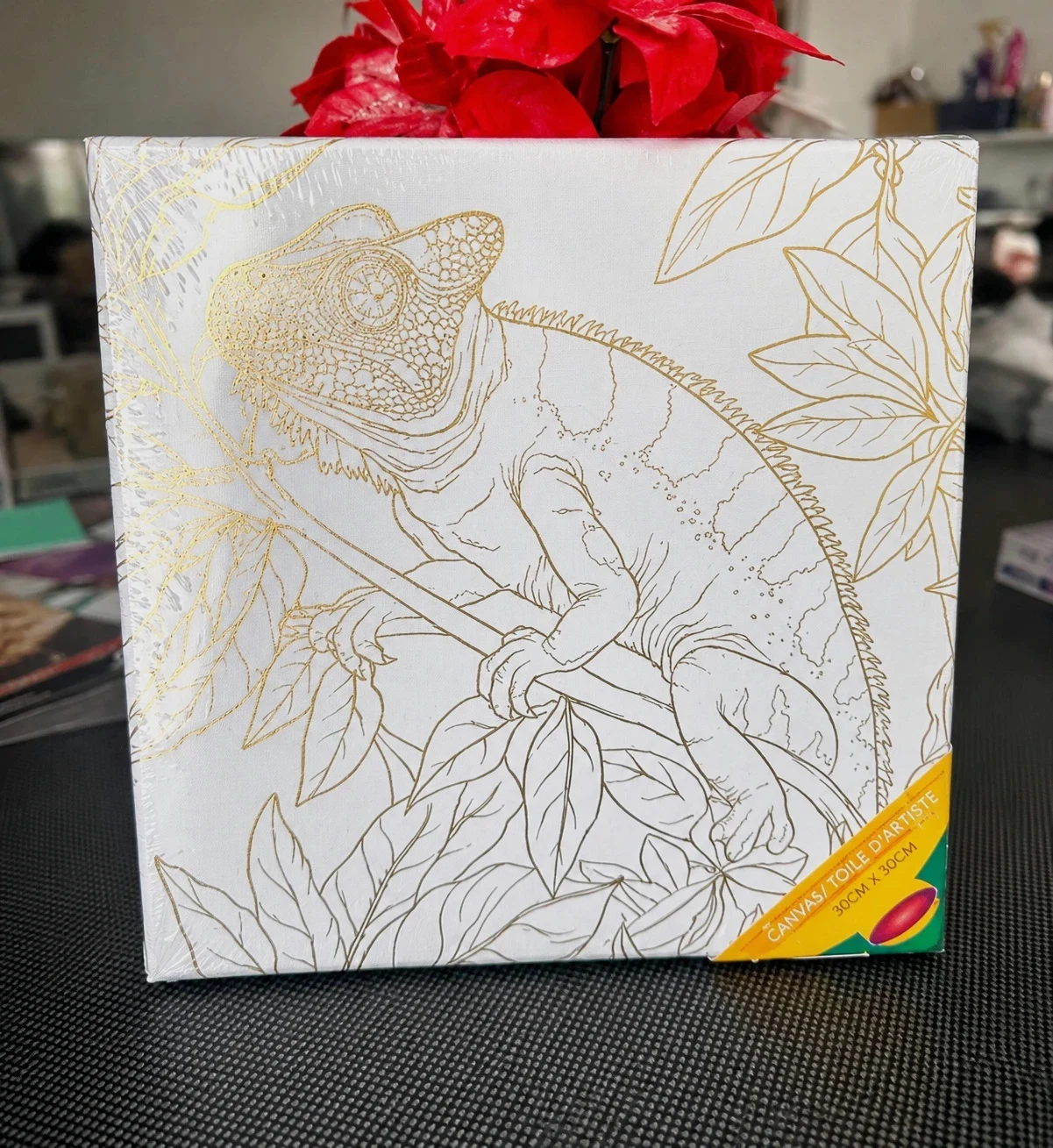 🎨 Toile à peindre caméléon 30 × 30 cm – Neuve sous blister