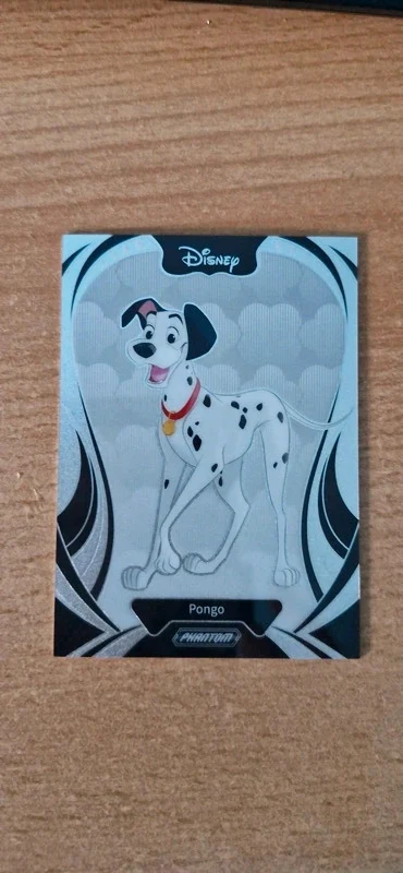 Carte Pongo