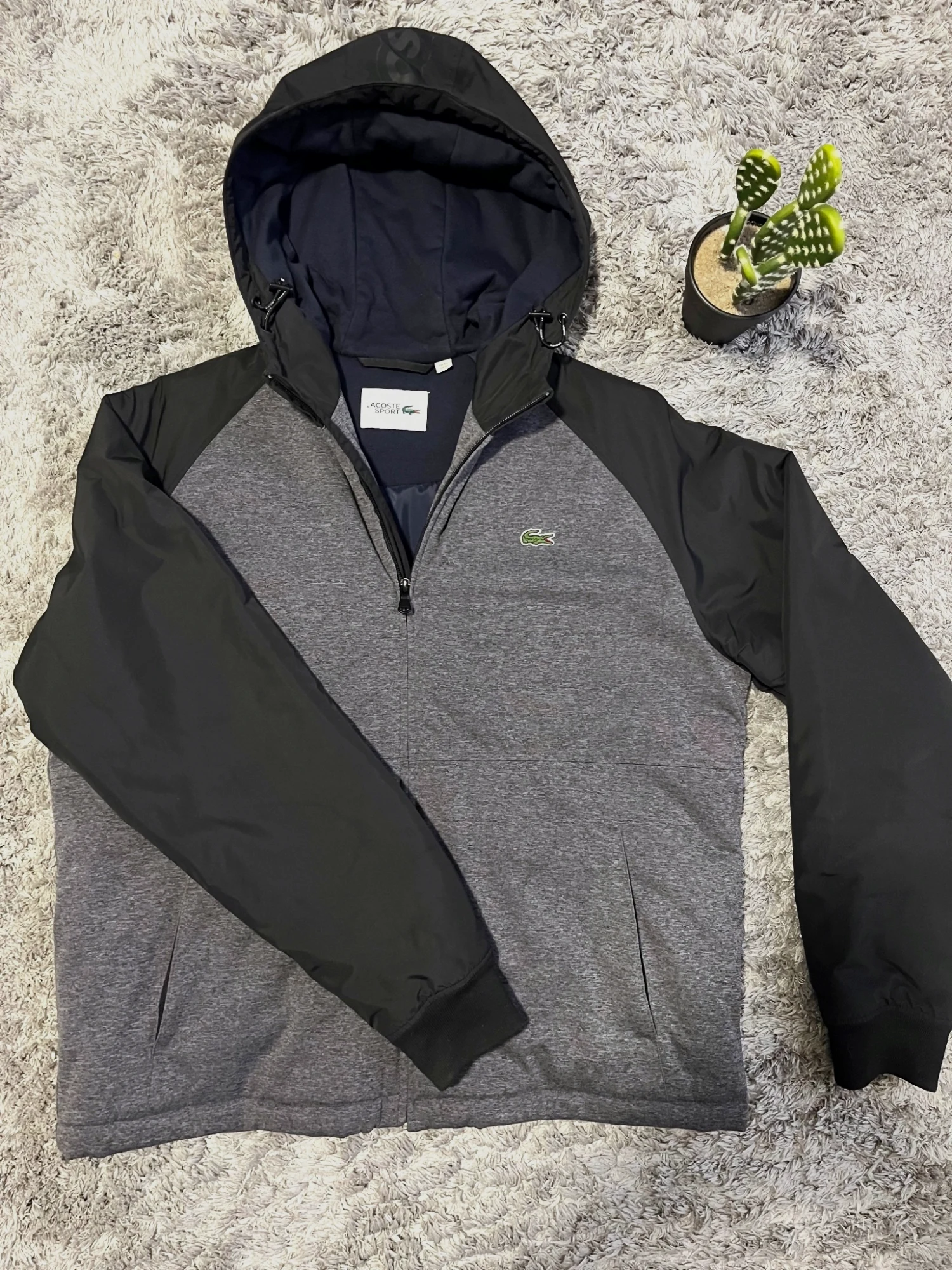 Veste Lacoste