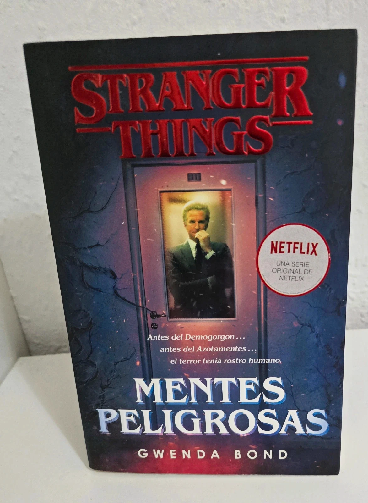 Libro Stranger Things