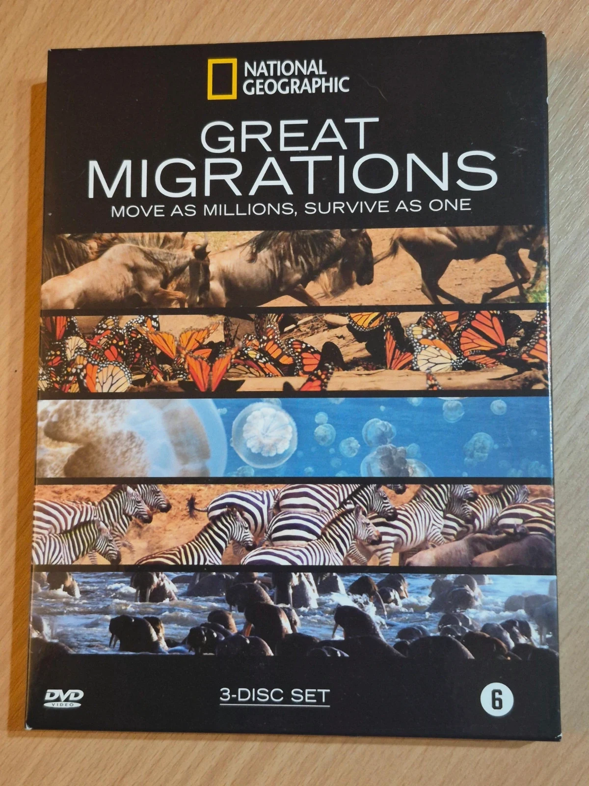 Coffret Dvd Great Migrations