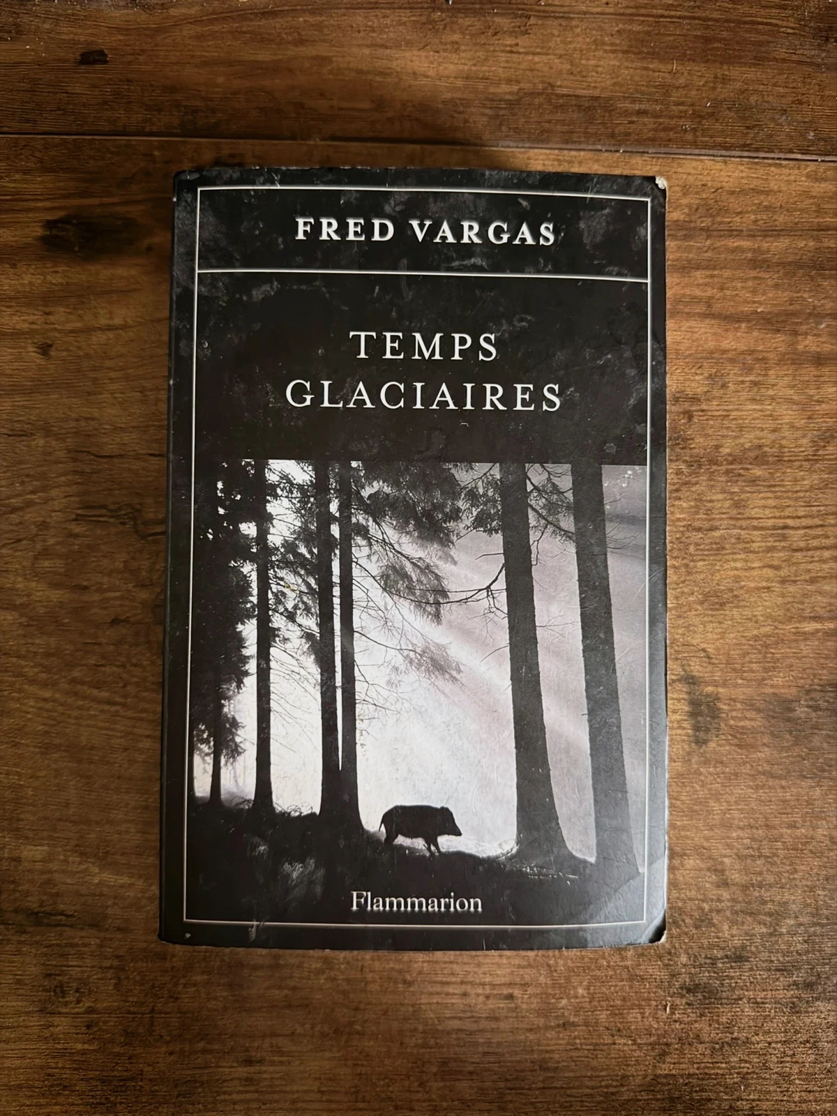 Fred Vargas – Temps glaciaires – Roman policier – Flammarion