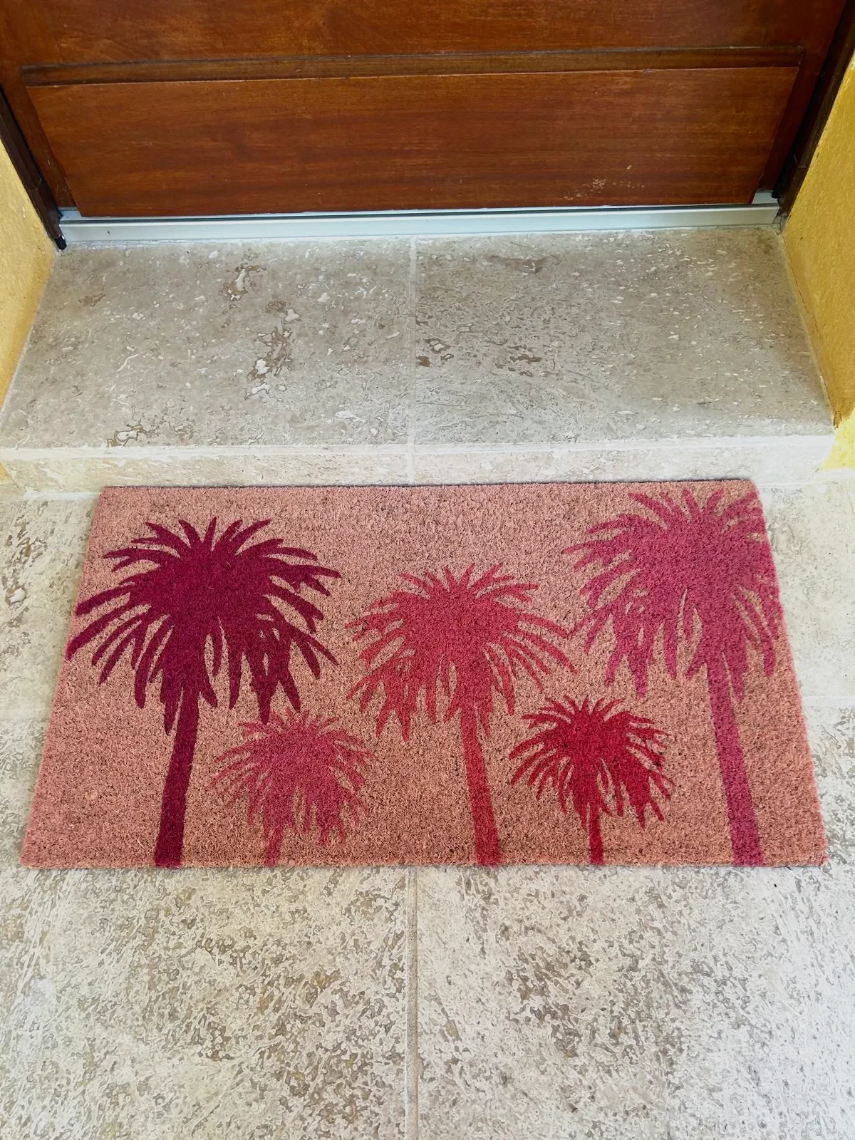 Tapis d'entrée paillasson