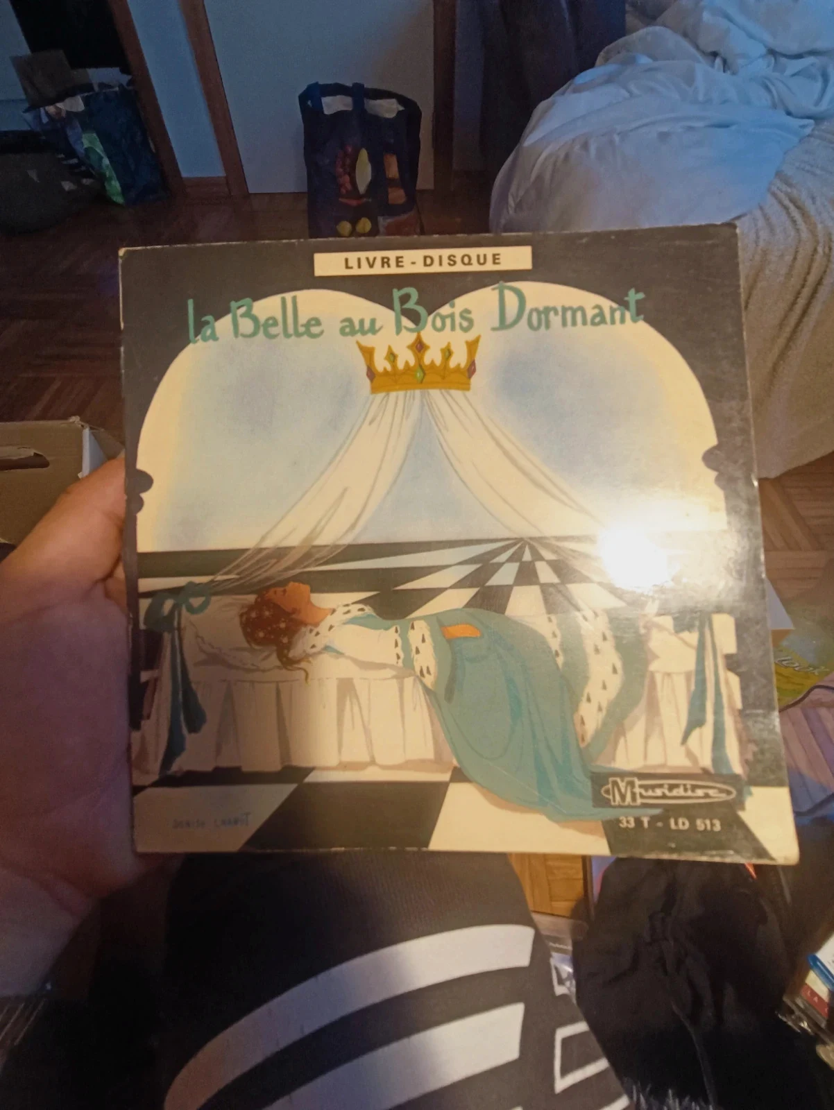Vinyle 33t +livre La belle au bois dormant