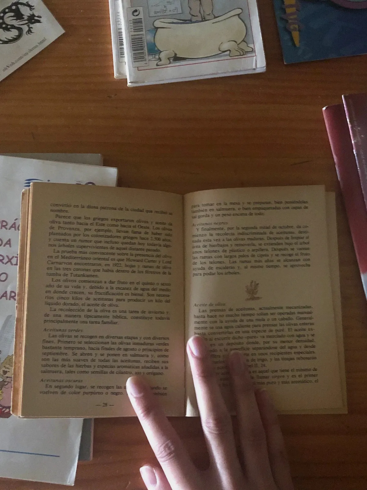 El librito del amante de la Cocina Mediterranea – el cuerno de la abundan 3