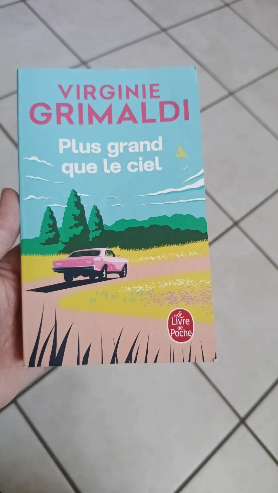 Plus grand que le ciel 