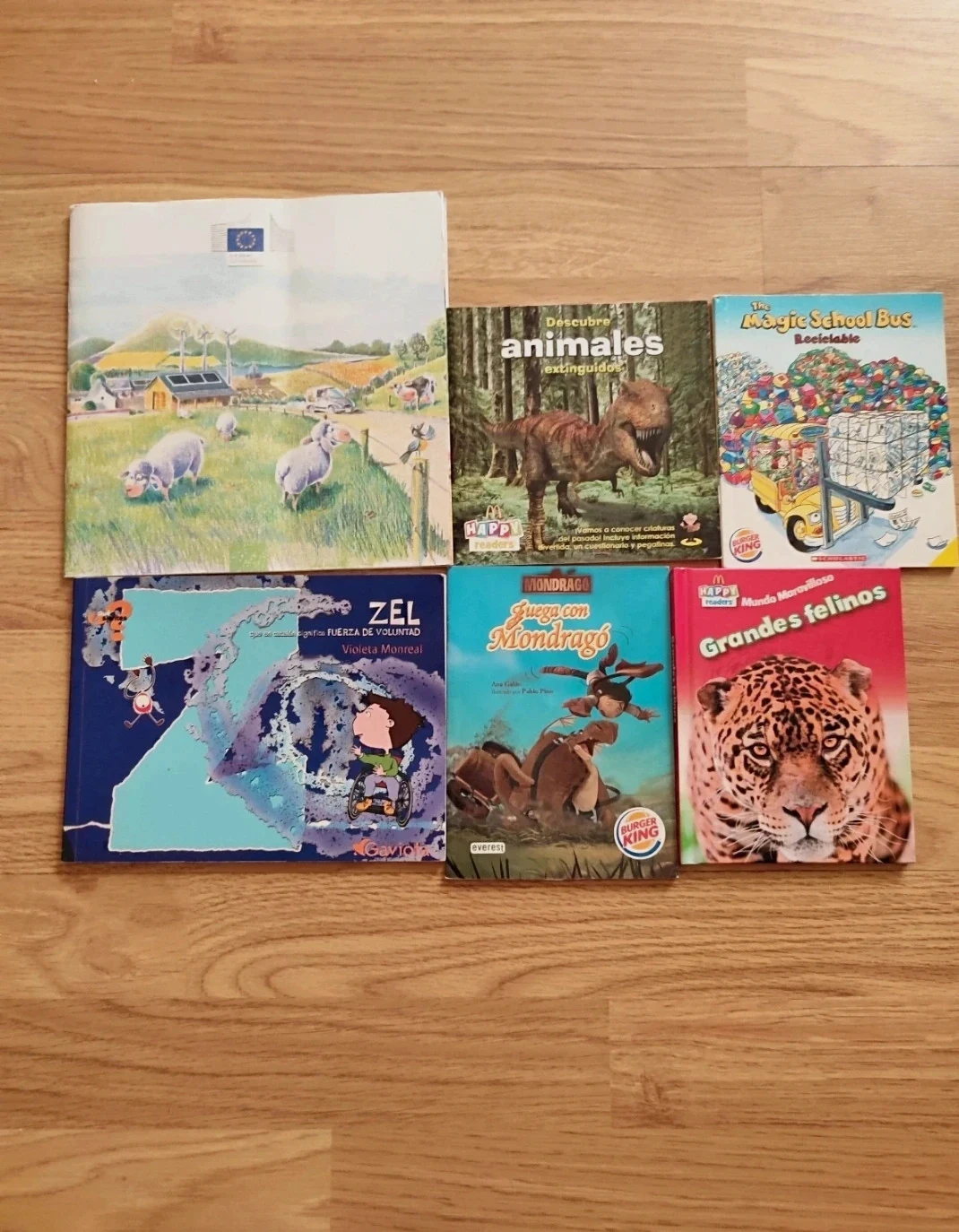 Lote libros infantiles