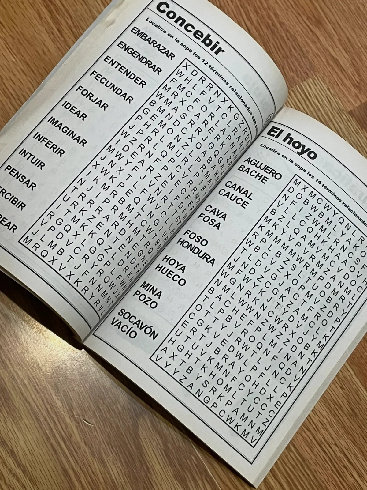 Libro Sopas de Letras EXTRA (164 págs) - Letra Grande - NUEVO 2