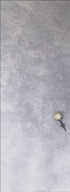 Zilverkleurige oorknopjes met strass steentjes – geen merk – taille Taille unique 3