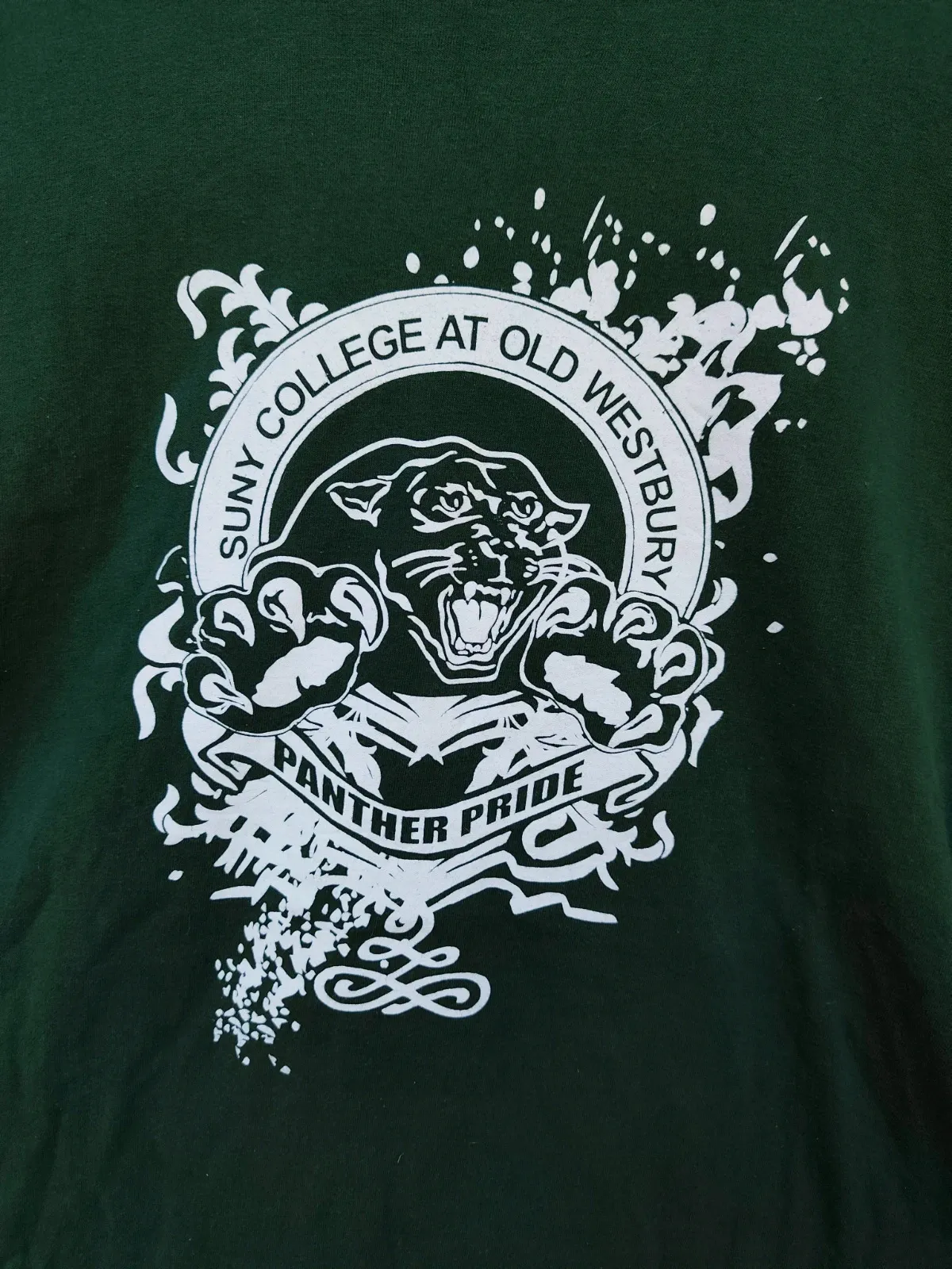 T-shirt vert foncé SUNY College Old Westbury Panther Pride – Gildan – vert – taille L 2