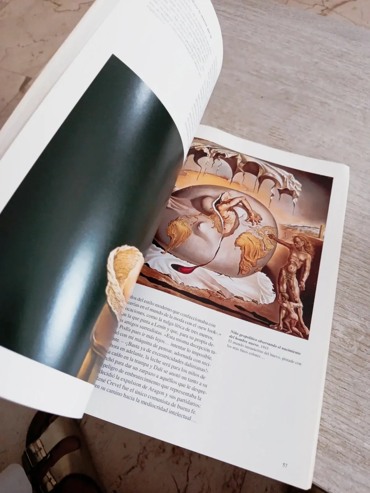 Libro Dalí Editorial Taschen en Español 🔥🔥 5