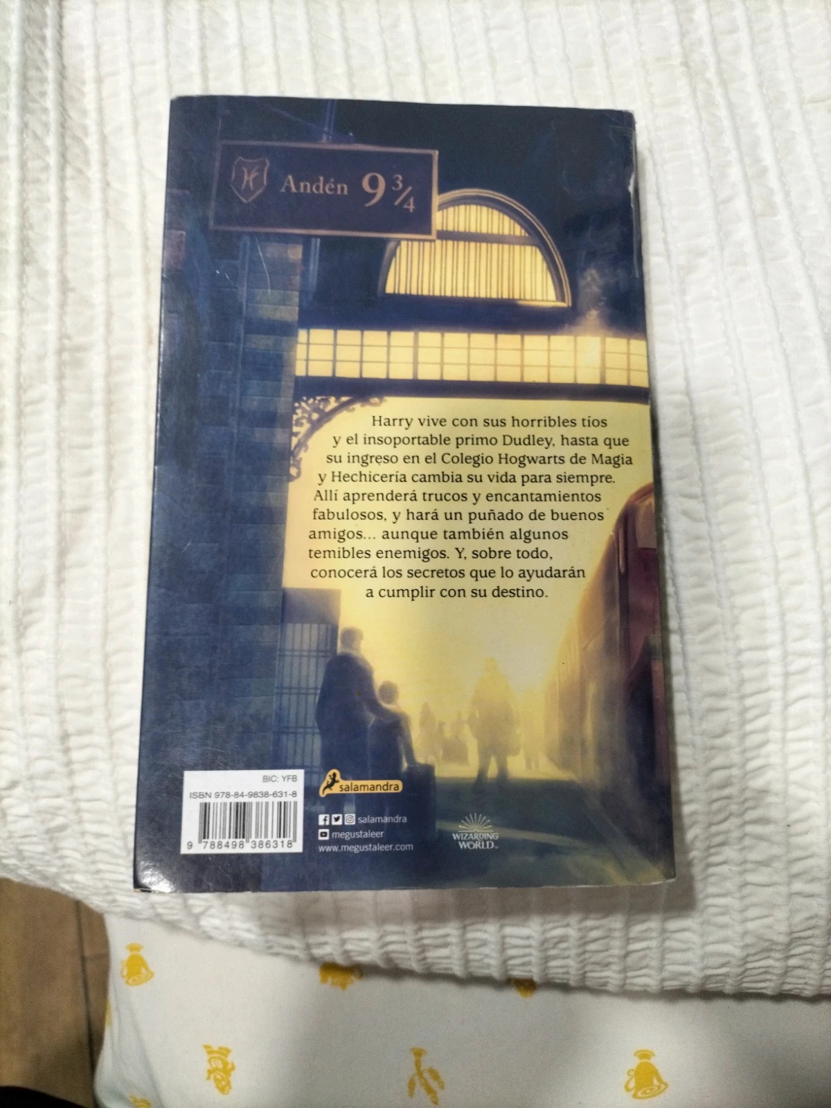 Libro Harry Potter 2