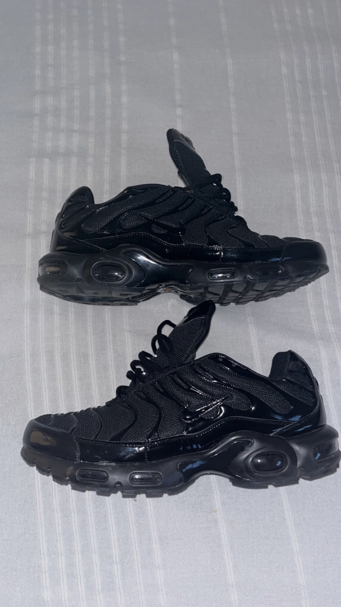 tn noir 