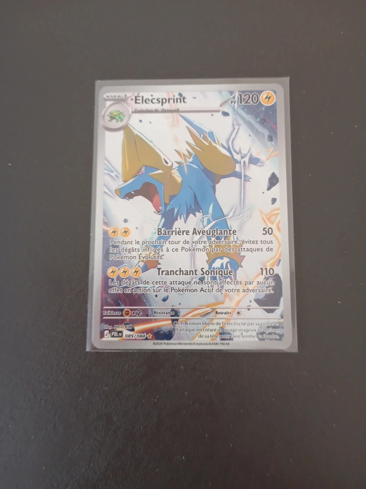 Carte pokémon Elecsprint – Pokémon