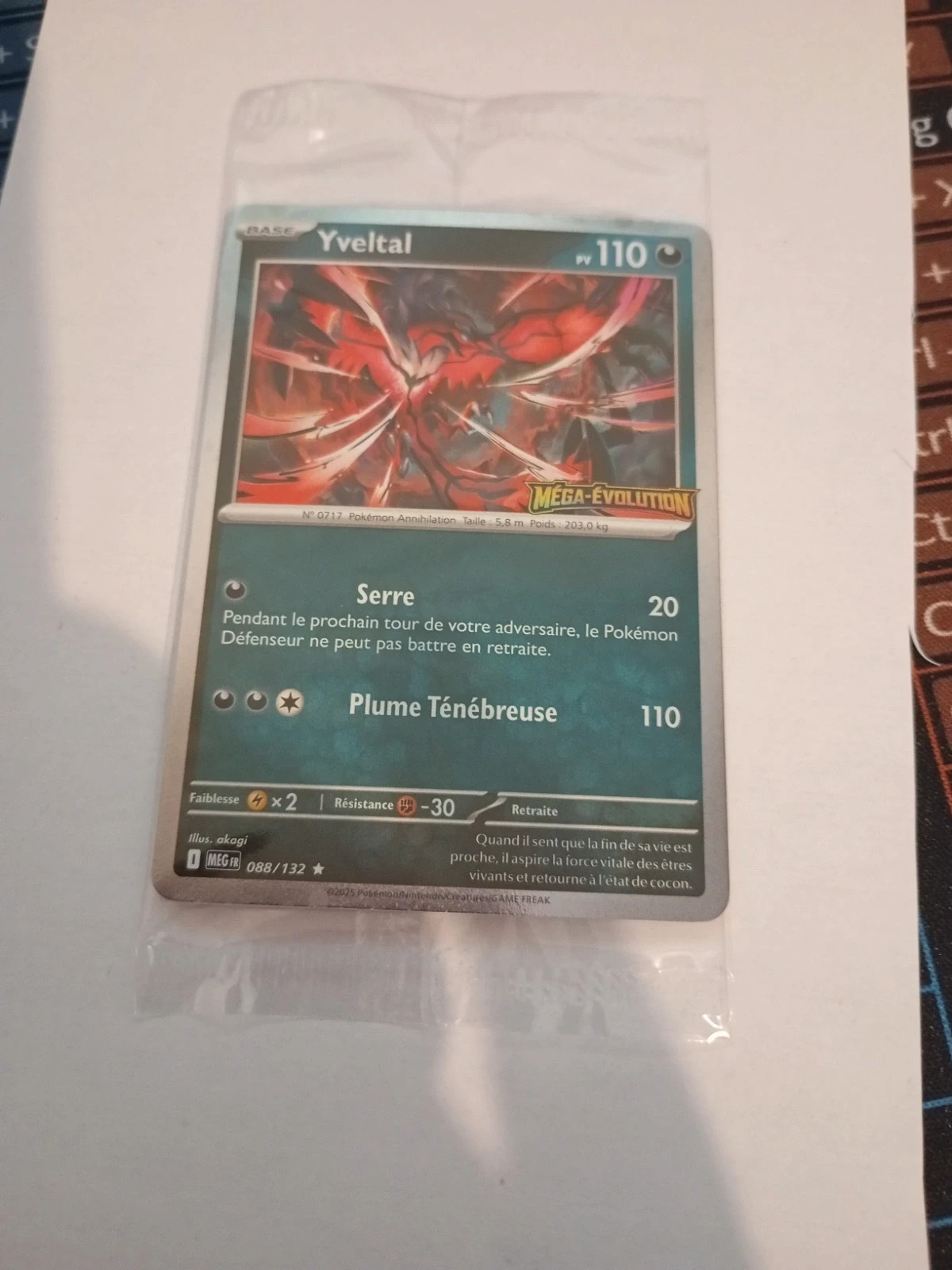 Carte Yveltal pokémon