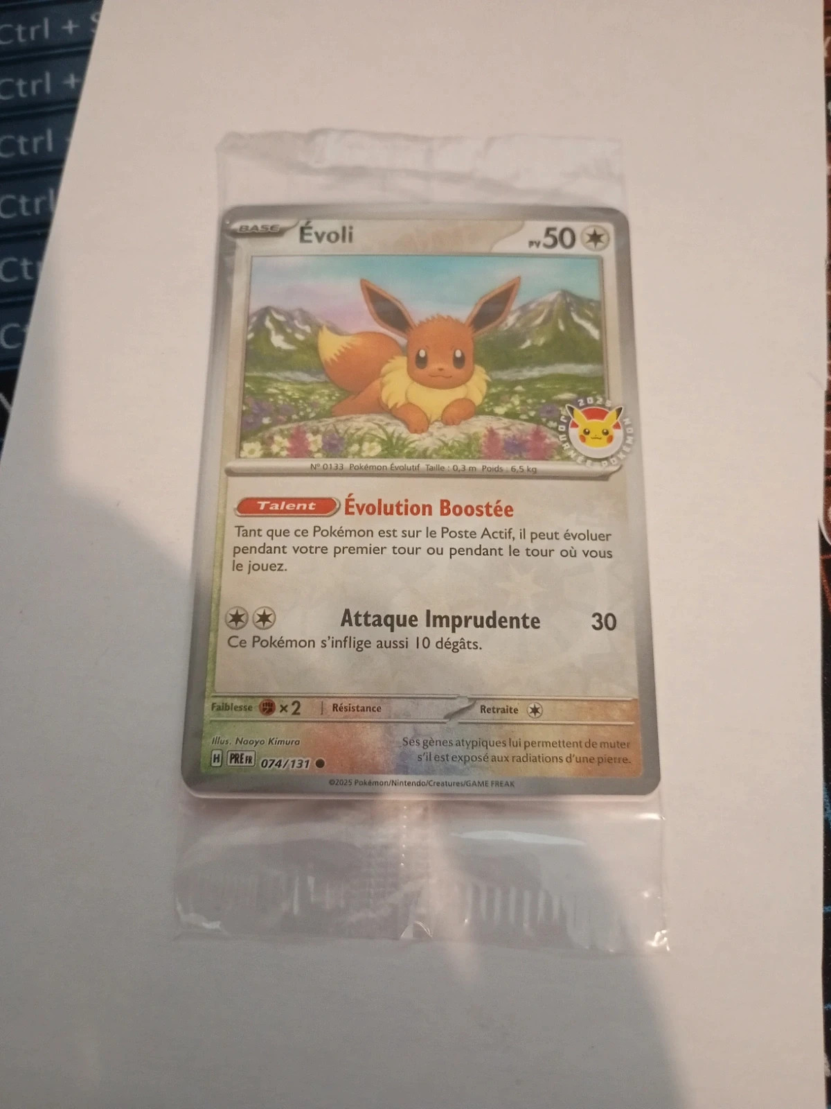 Carte Evoli pokémon