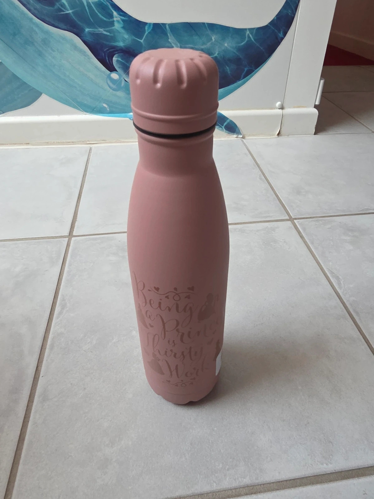 Gourde Isoterme Princesses Disney Rose Mat "Being a Princess is Thirsty Work" – Disney 2