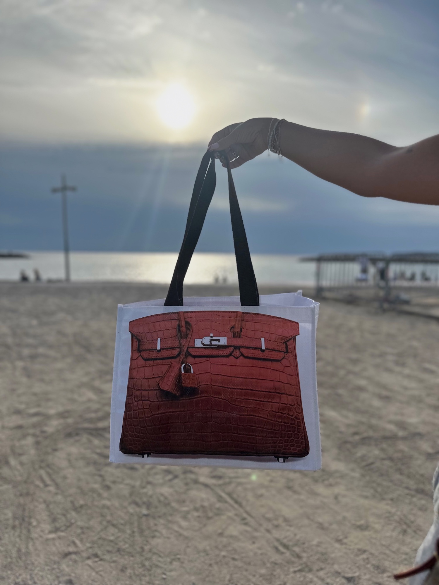Cabas Birkin 