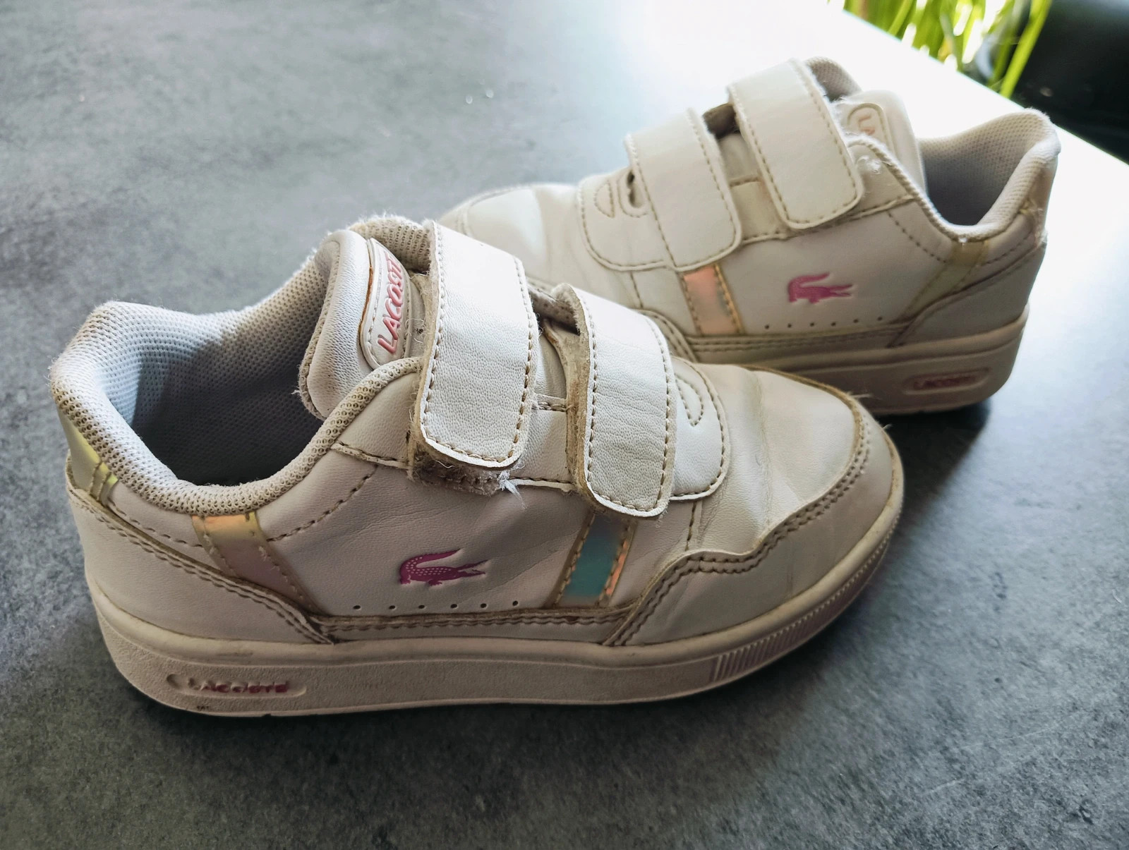 Basket Lacoste