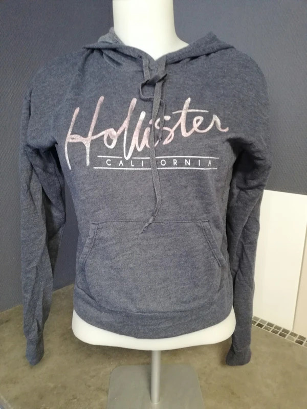 Sweat hollister