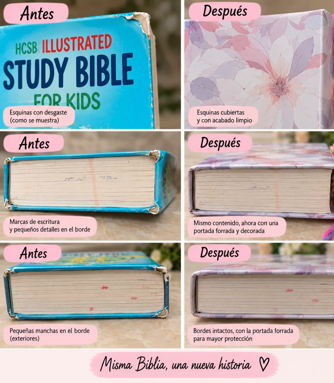 Hand-Decorated HCSB Illustrated Study Bible for Kids – English – Personalized Name Available 5