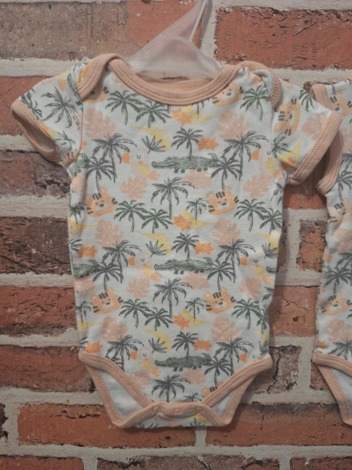 Lot de 2 bodies fille Taille 9 mois – Little Explorer – taille 6-9 mois / 68 cm 2