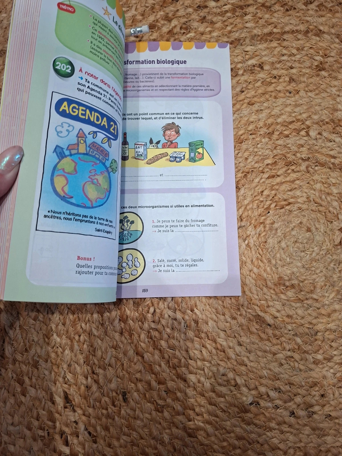 Cahier vacances Hatier 6e → 5e 11/12 ans – neuf 2