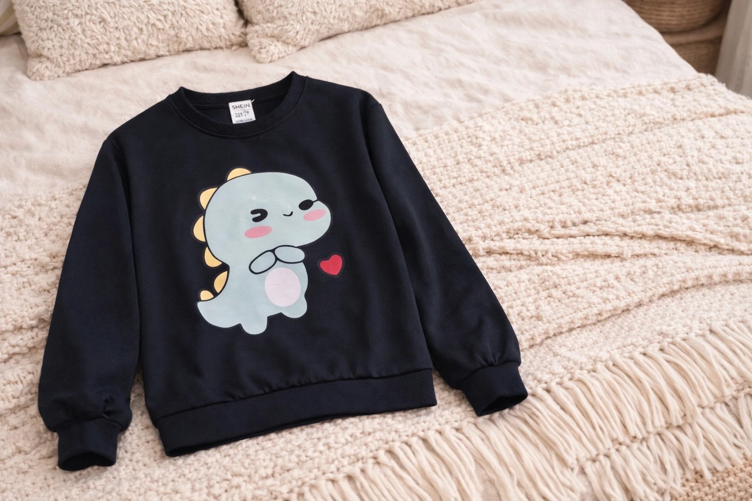 Sweat enfant noir motif dinosaure – SHEIN – 11 ans