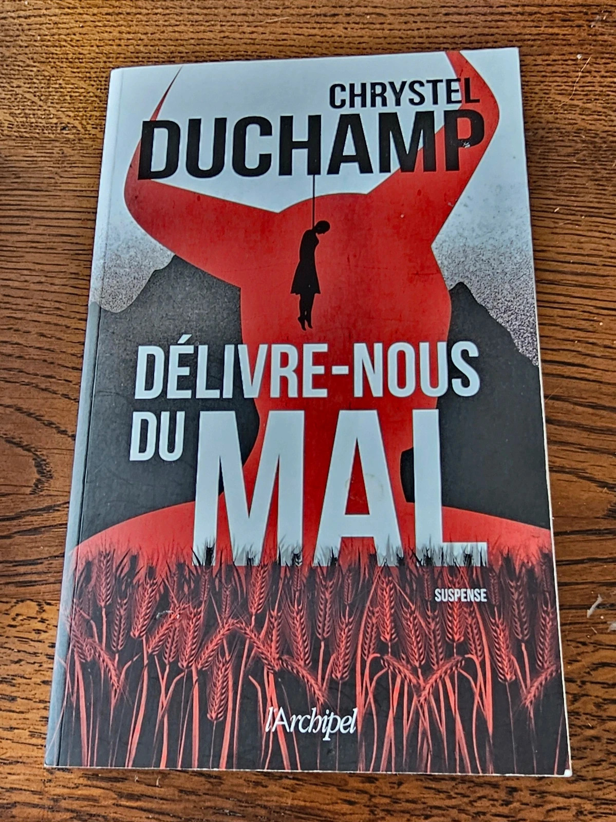 Livre "Délivre-nous du mal" - Chrystel Duchamp