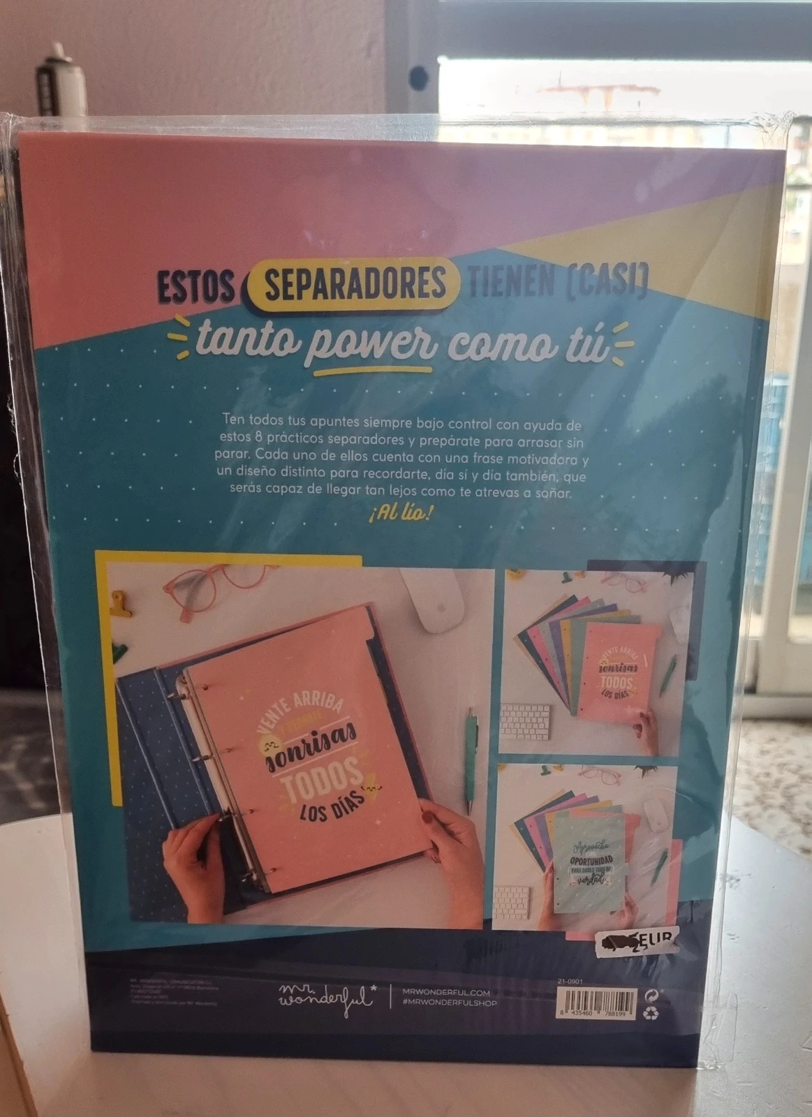 Carpeta y clasificadores Mr. Wonderful – Mr Wonderful 5