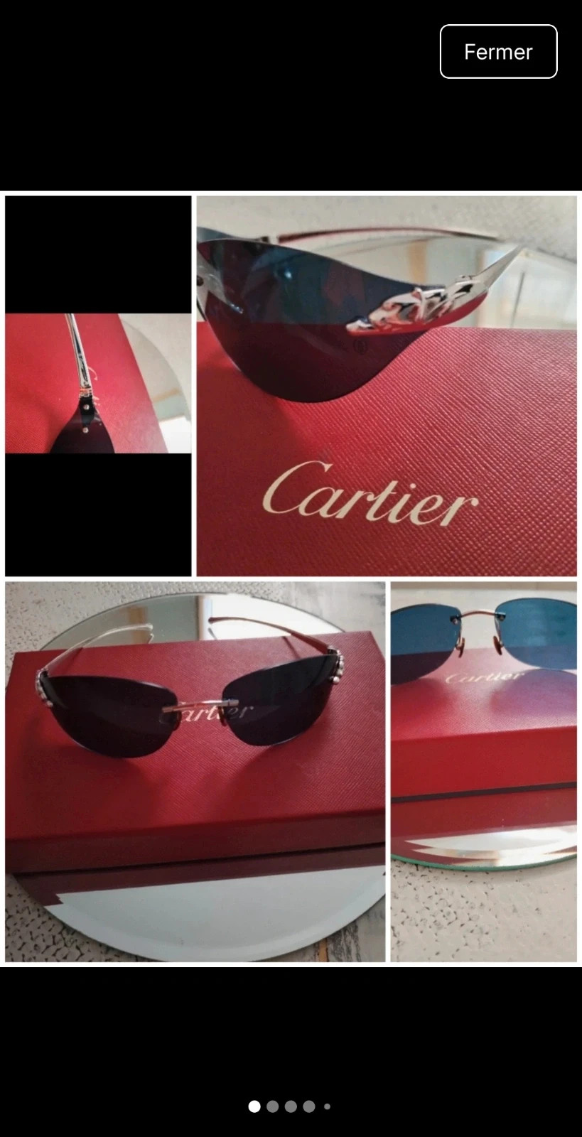 Panthère de Cartier Authentique Lunette – Cartier 5
