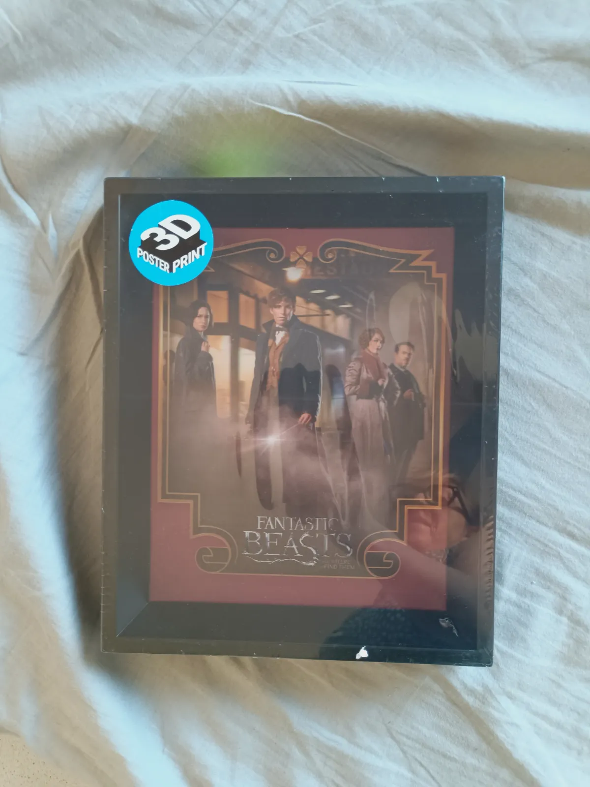 Cuadro 3D Fantastic Beasts con marco negro – Sézane 3