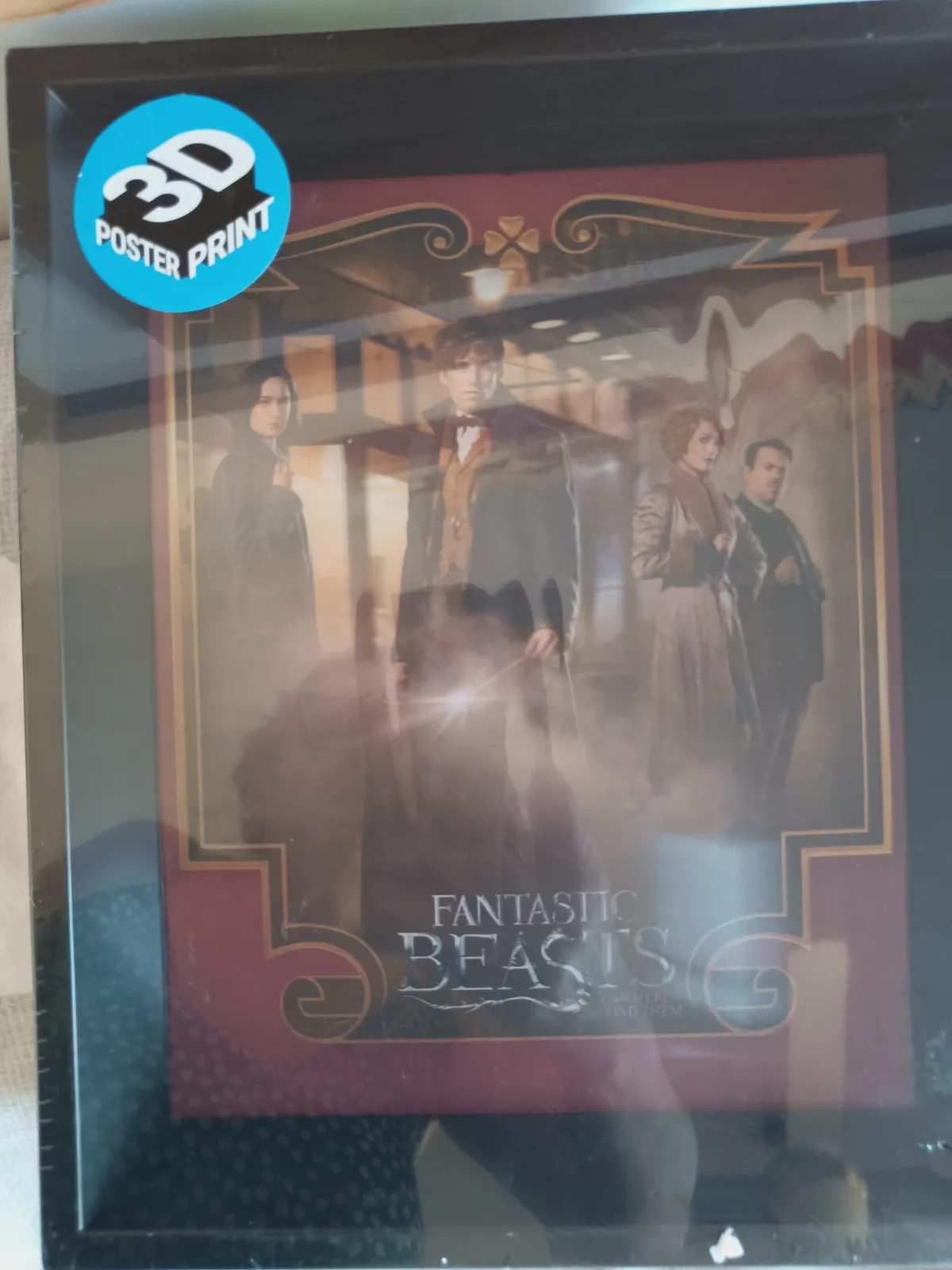 Cuadro 3D Fantastic Beasts con marco negro – Sézane 2
