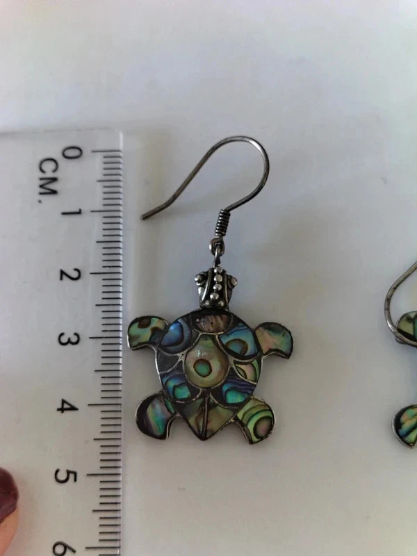 Boucles d'oreilles – Argent 4