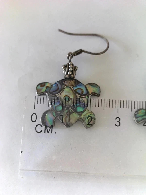 Boucles d'oreilles – Argent 5