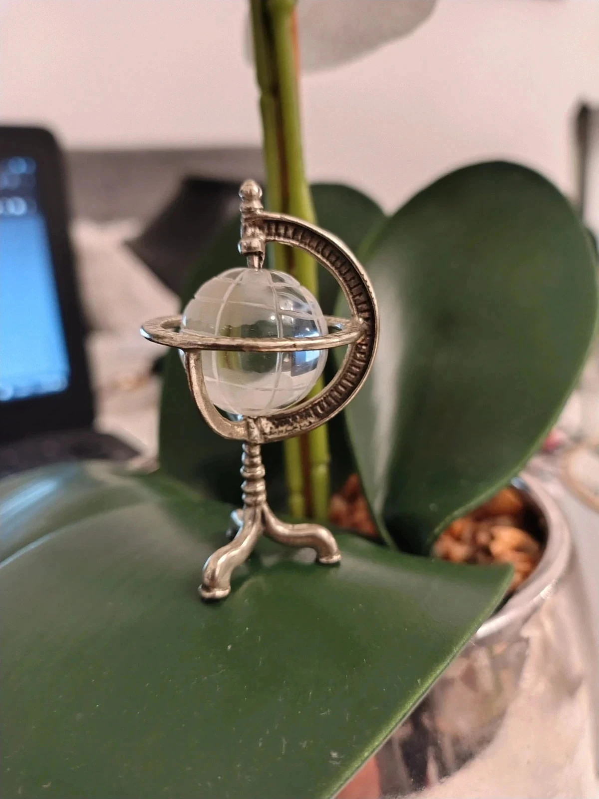 Globe terrestre – Argent 2